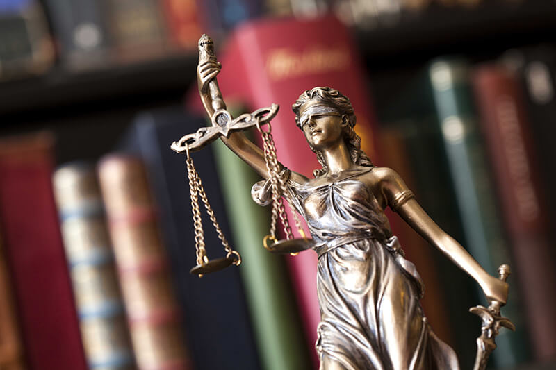 Informes judiciales y litigation support